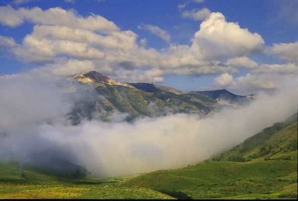 Colorado, Fog and mountain landscape
